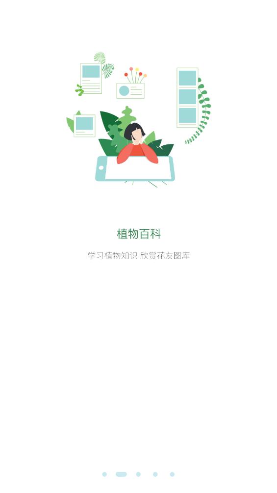 花伴侶植物識別最新版