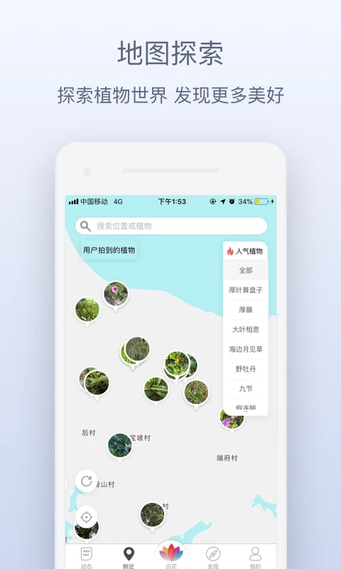 花伴侶植物識別最新版