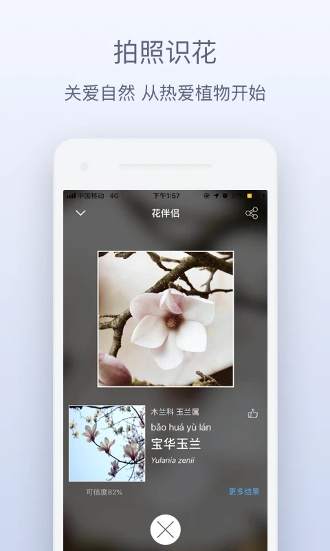 花伴侶植物識別最新版