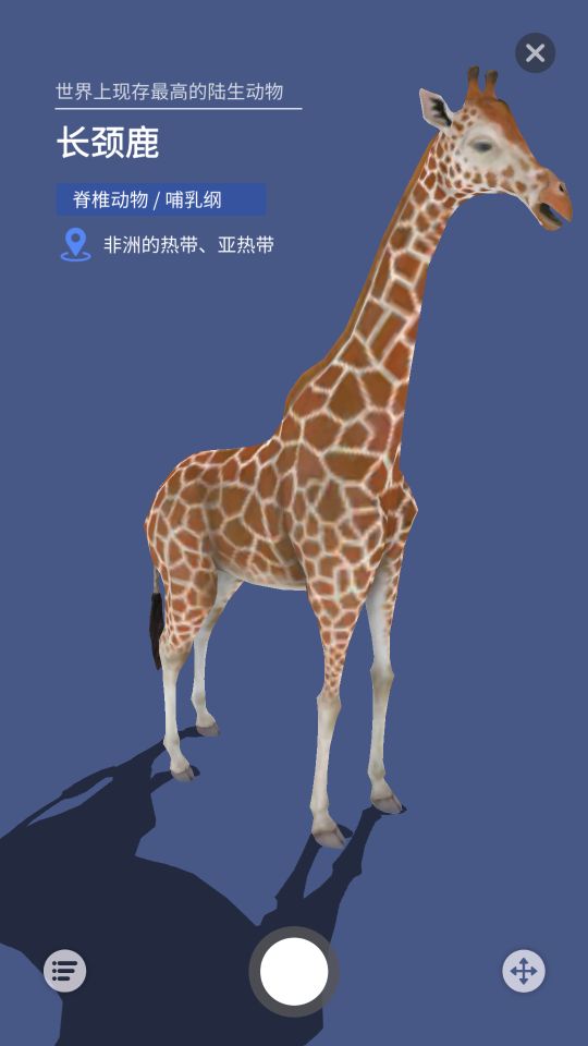 大眼探世界官方版