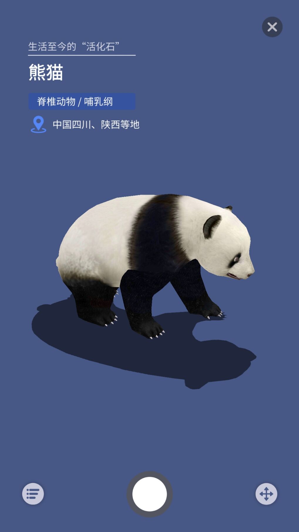 大眼探世界官方版