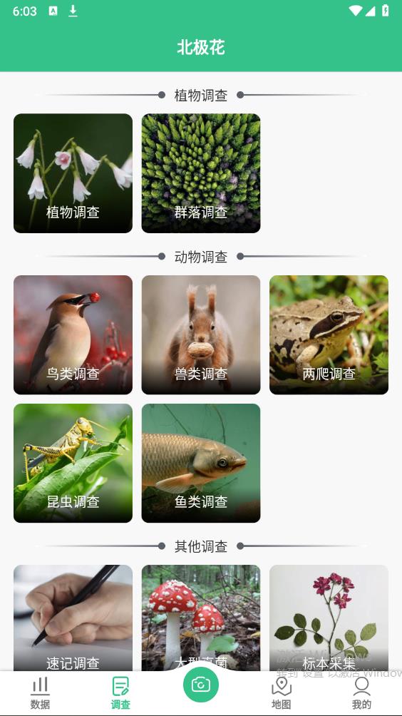 北極花生物調(diào)查官方版