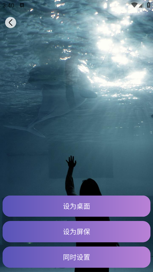 畫與未來App新版