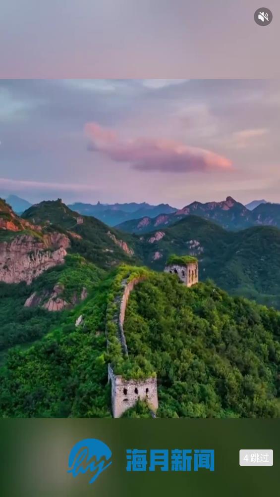 海月新聞官方版