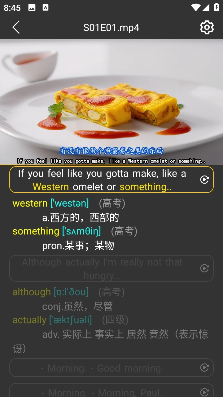 單詞播放器官方版