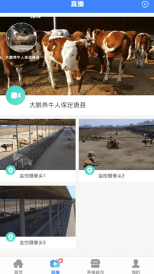 牛萌萌養(yǎng)殖APP