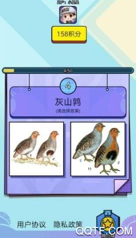 飛鳥樂園新版本