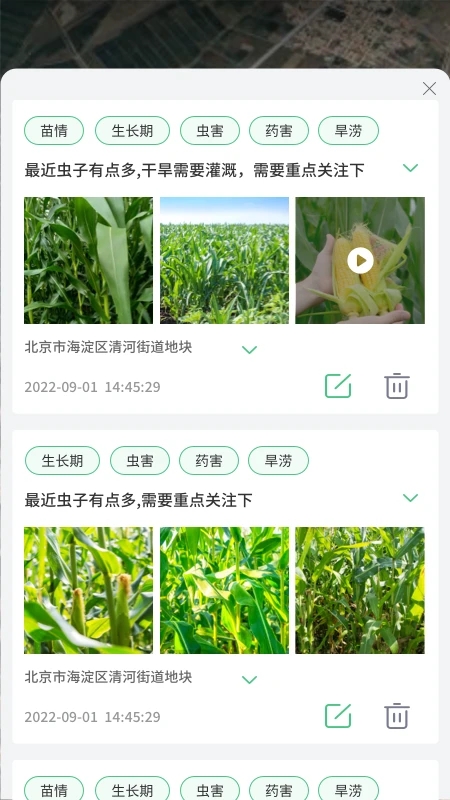喜豐收官方版app