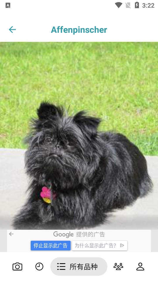 狗狗鑒定器最新版本