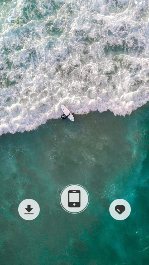 活力壁紙安卓版