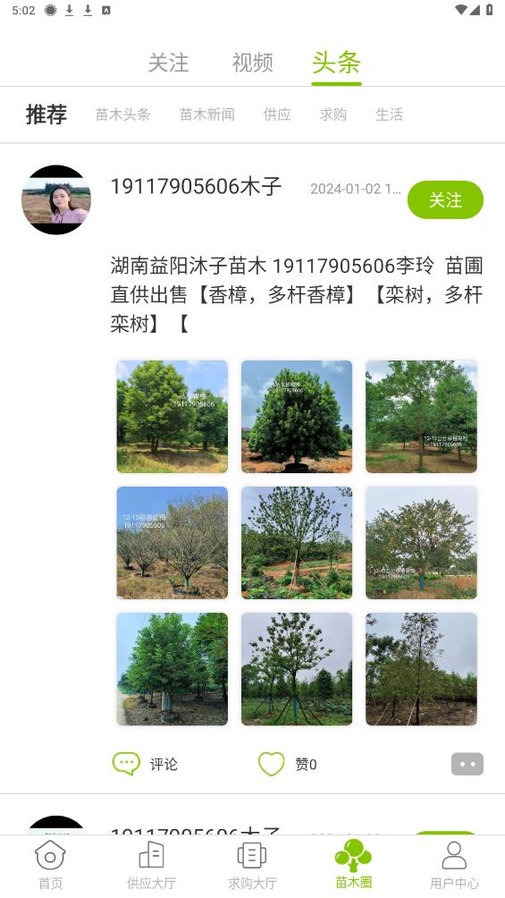 華苗木云APP安卓版