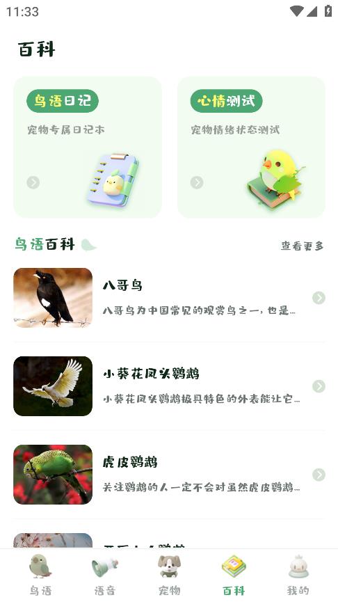 鳥語翻譯精靈最新版