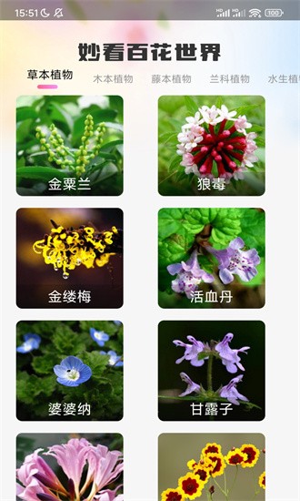 百花app安卓版精彩觀看