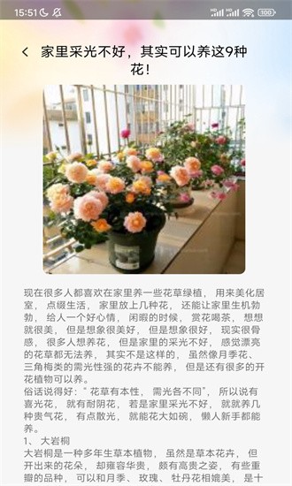 百花app安卓版精彩觀看