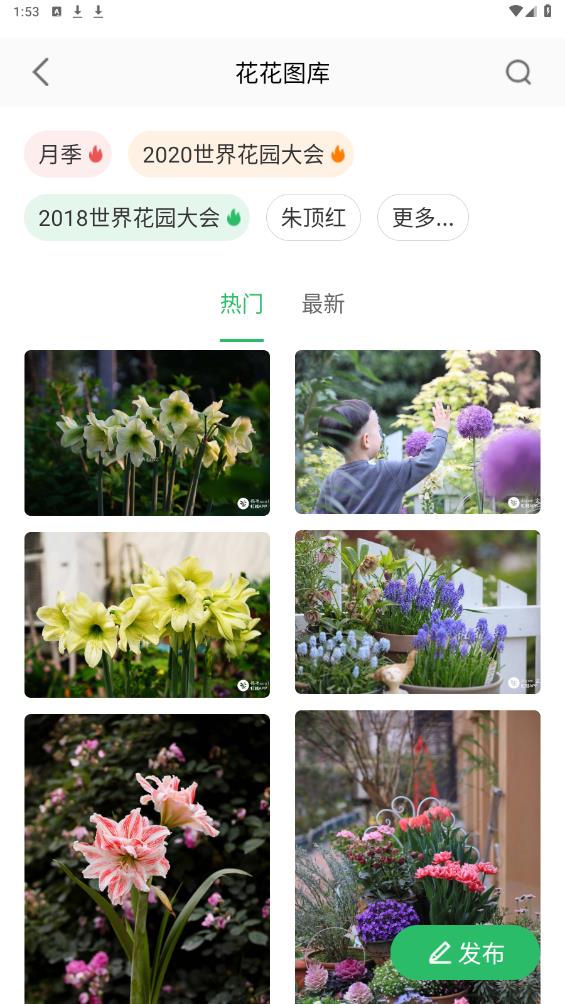 虹越APP正式版
