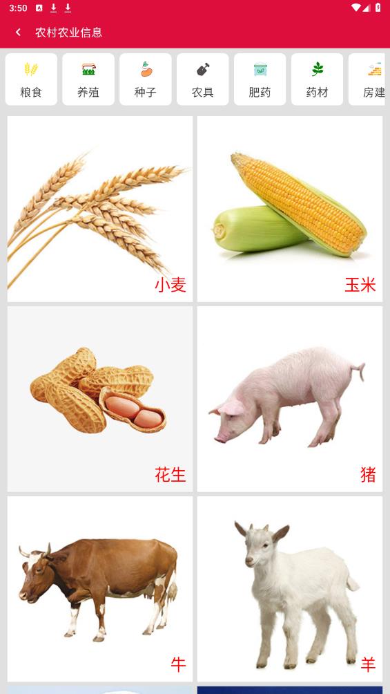 宜陽app安卓版早安