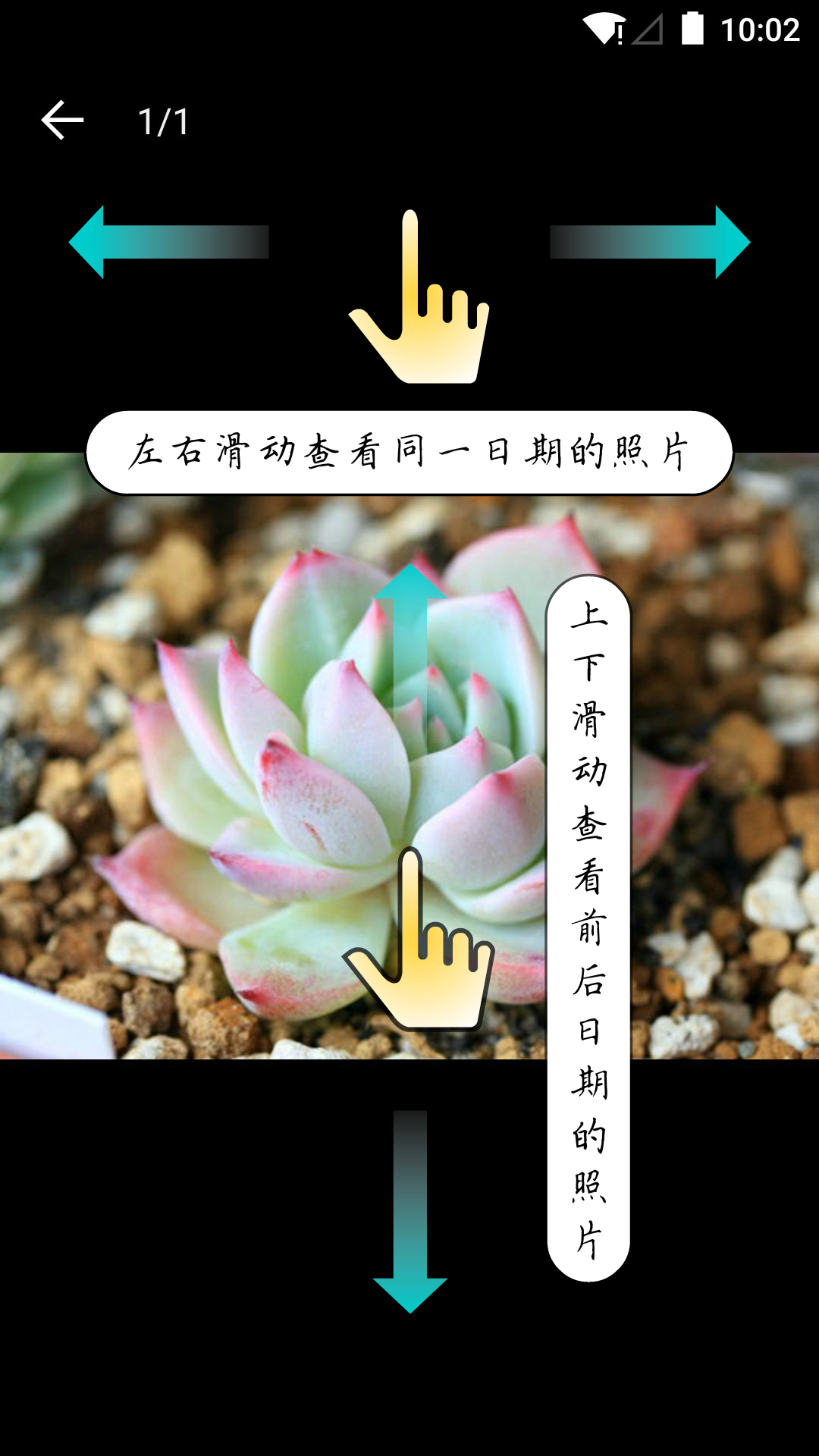 多肉成長記手機(jī)版