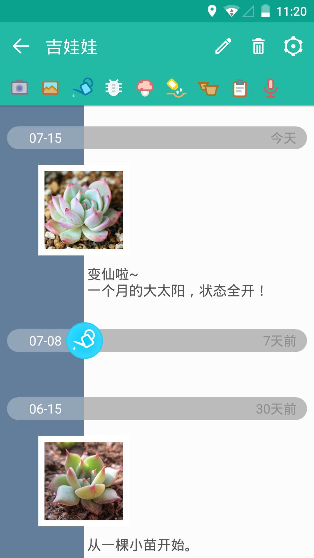 多肉成長記手機(jī)版