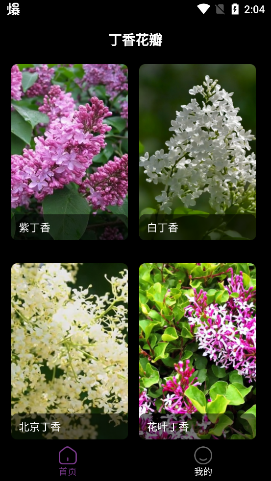 丁香花瓣app新版本