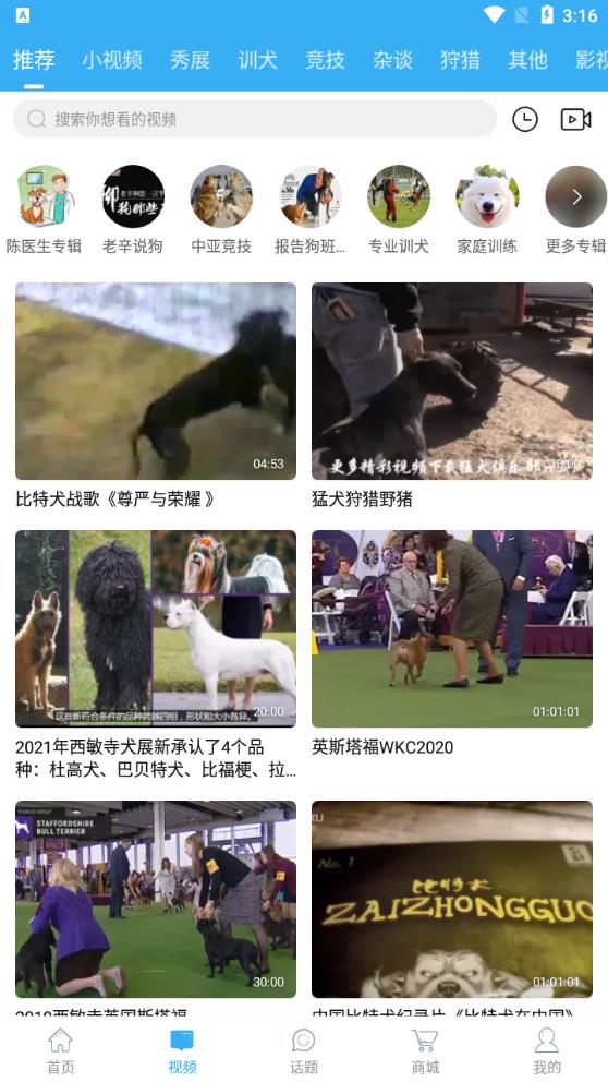 猛犬俱樂(lè)部正版