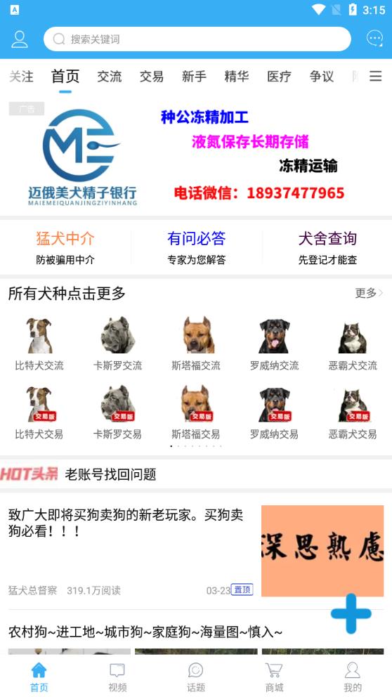 猛犬俱樂(lè)部正版