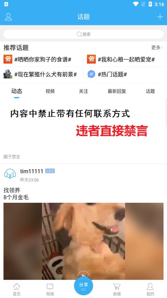 猛犬俱樂(lè)部正版