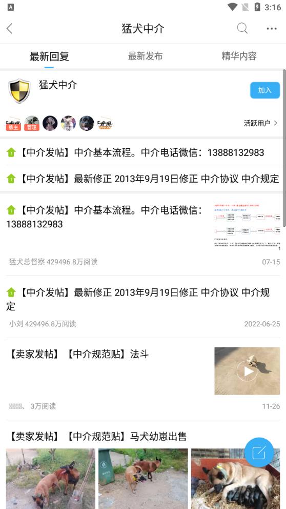 猛犬俱樂(lè)部正版