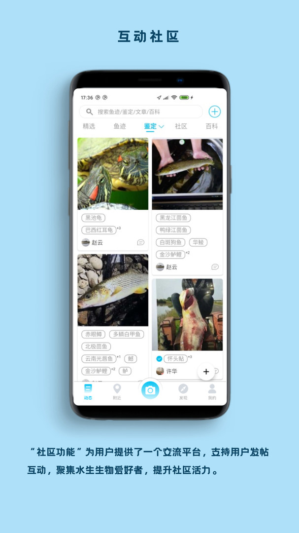 看魚APP最新版