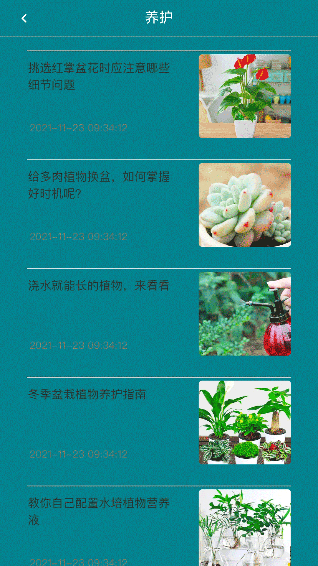 神農百草經官方版