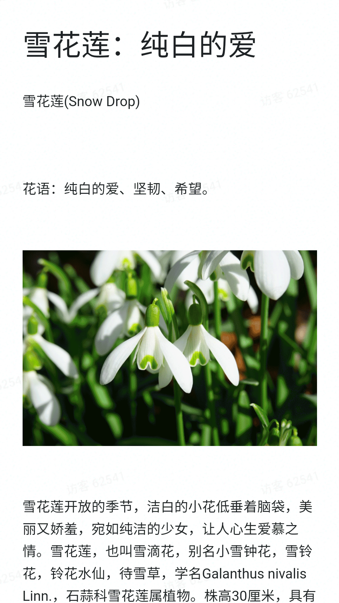 神農百草經官方版