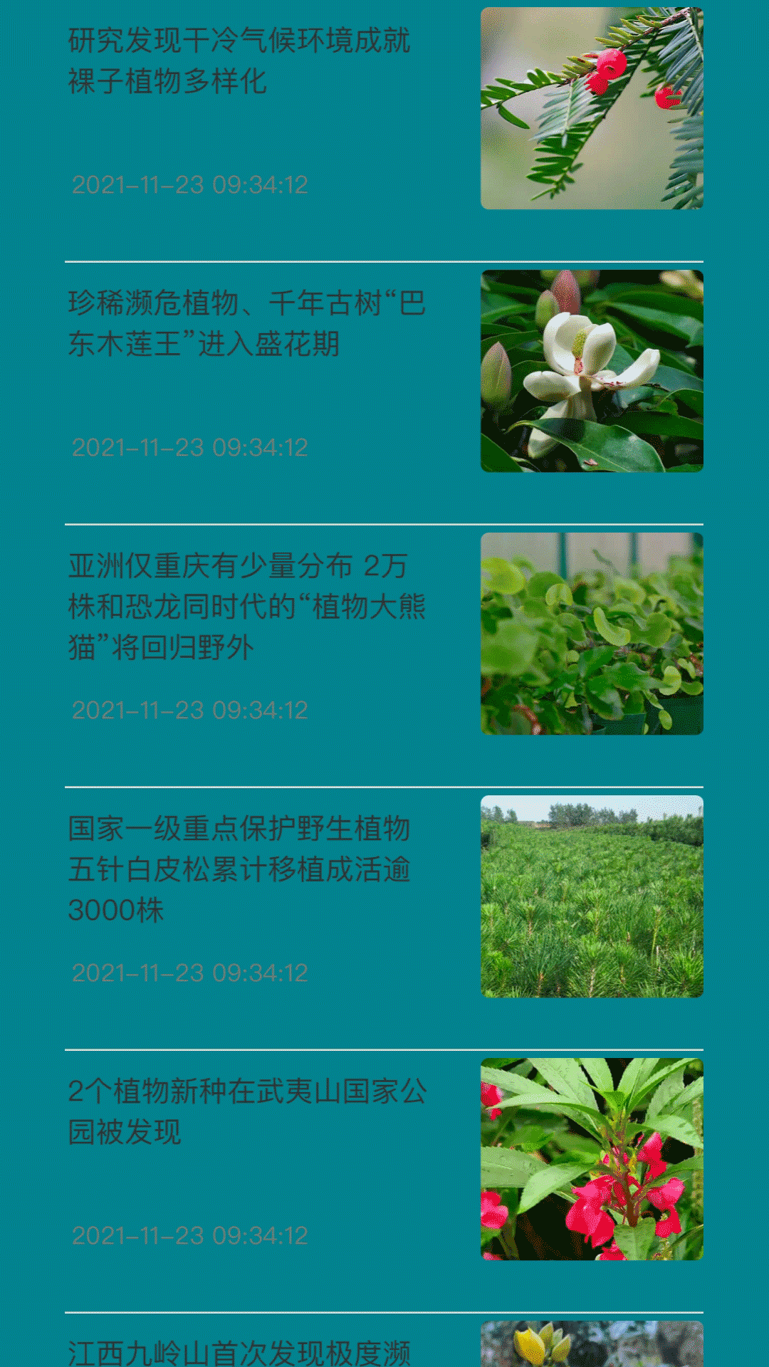 神農百草經官方版