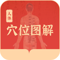 人體穴位圖解手機(jī)版