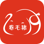 卷毛豬