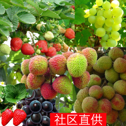 名都商會