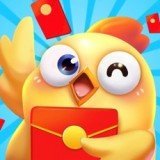 開心養(yǎng)雞