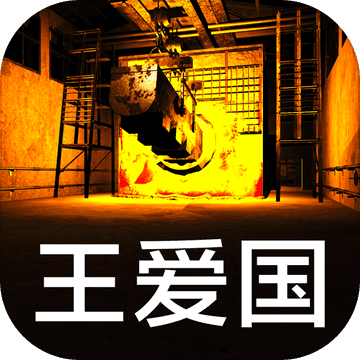 孫美琪疑案王愛國