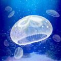 治愈的養(yǎng)成水母游戲
