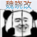 bvn魏曉改下載安卓版