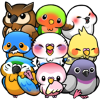 BIRD LIFE小鳥(niǎo)生活游戲羽毛強(qiáng)化版