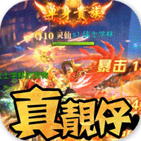 唐門六道元寶版