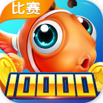 金蟾2021新版去哪了