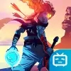 重生細(xì)胞bilibili版