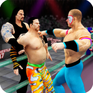 Tag Team Wrestling 無限金錢版