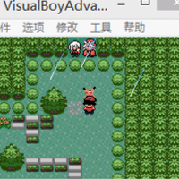 口袋妖怪琦黃之夢龍無中文版