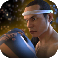 Muay Thai Fighting Clash 2安卓版