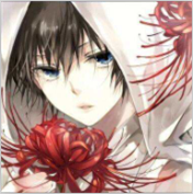 口袋妖怪迷失夜5新版