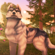 狼傳說家園與愛心作弊菜單版(Wolf Tales: Home Heart)