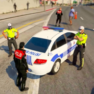 最新版土耳其警察游戲