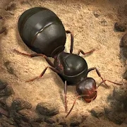 螞蟻地下王國(guó)官方版(The Ants)
