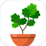 植物日記無(wú)限氧氣版改寫(xiě)標(biāo)題：植物日記：無(wú)限氧氣模式